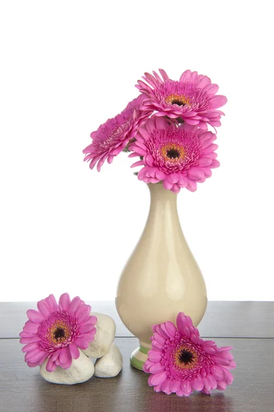 Pink Gerbera in vase and white stones — Stock Photo, Image