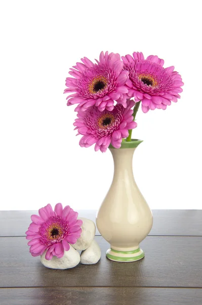 Vazo ve beyaz kayaların içinde pembe gerbera