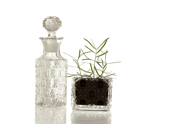 Crystal glass bottle and plant — Stock Photo, Image