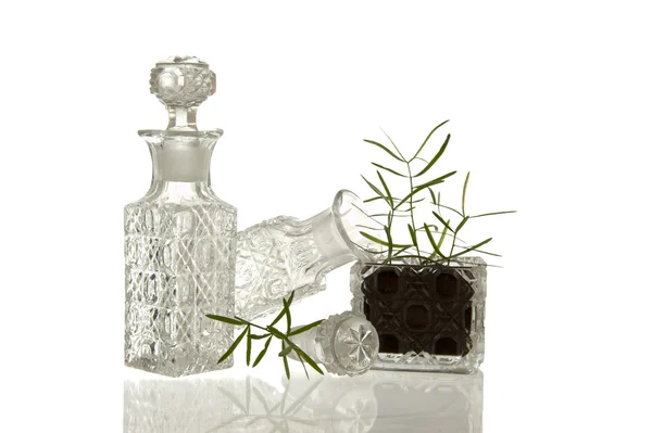 Crystal glass bottles and plant — Stock Photo, Image