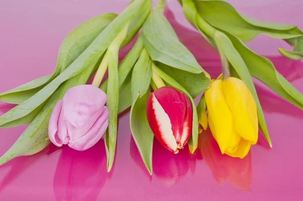 Tres tulipanes sobre fondo violeta —  Fotos de Stock