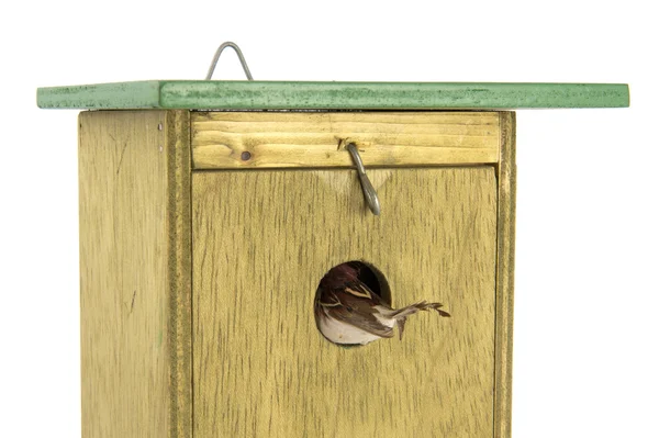 Tomtit entering wooden bird house — Stock Photo, Image