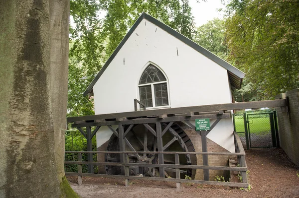 Watermolen met peddel wiel in bos — Stockfoto