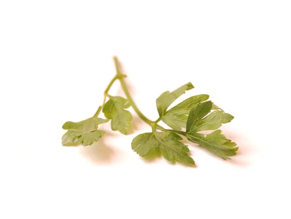 Parsley — Stock Photo, Image