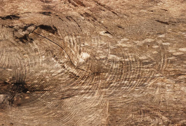 Legno vecchio — Foto Stock