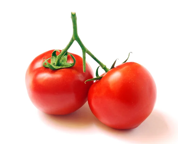 Tomates vermelhos — Fotografia de Stock