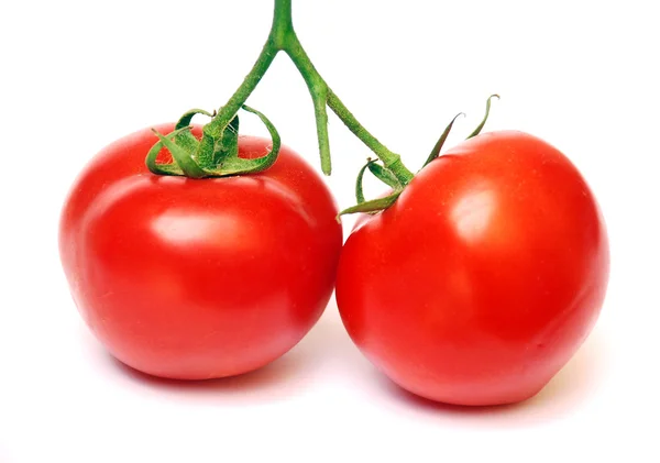 Tomates vermelhos — Fotografia de Stock