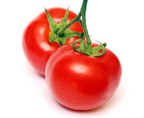 Red tomatoes — Stock Photo, Image