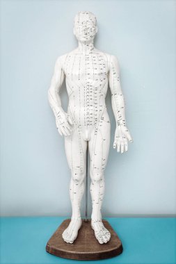 Almaty, Kazakistan - 12 Temmuz 2021: Hastane masasında Doğu Tıp Modeli, akupunktur Çince geleneksel tıp öğretim figürü.