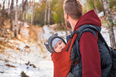 Babywearing autumn walk of a father and his little child in a sling. clipart