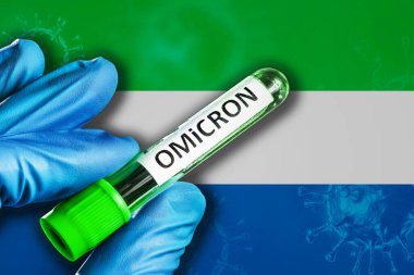Sierra Leone salgını Omikron varyantı. Mavi lastik eldivenli bir el Sierra Leone bayrağının önünde üzerinde covid-19 virüsü olan bir tüp tutar. Omicron varyant salgını kavramı