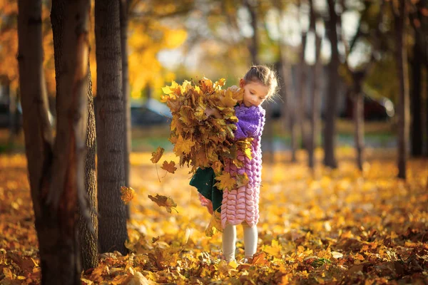 小さなかわいい女の子6歳秋の都市公園で黄色の紅葉の巨大な花束で — ストック写真