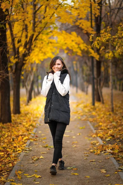 Sonbahar Kıyafetleri Içinde Genç Bir Kadın Sonbahar Parkında Güzel Bir — Stok fotoğraf