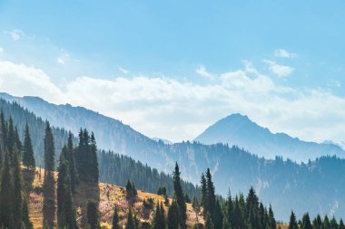 Clear day time mountains landscape with spruse forest and copy space in the blue sky.