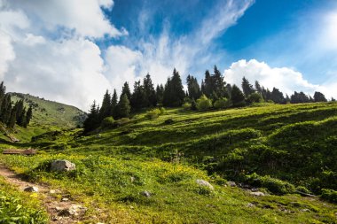 Amazing mountain landscape near Almaty. The trail to the top of 3 brothers and Kumbel through Kok Zhailau wth copy space.