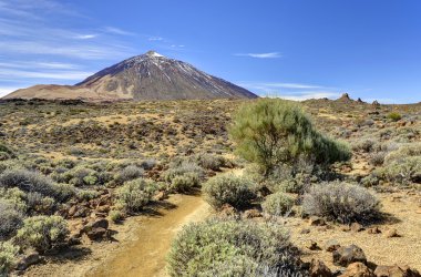 teide Dağı manzarası