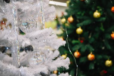 Sibirya 'da Yeni Yıl