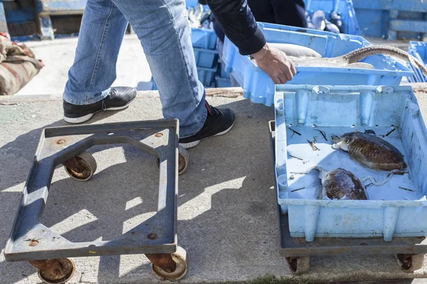 Pescadores que trabalham no barco — Fotografia de Stock