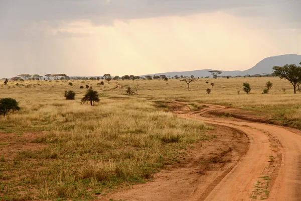 savannah yoluyla toprak yol rüzgarlar