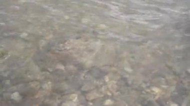 Göl kıyısı akan su