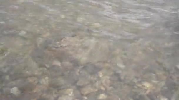 Eau qui coule le long de la rive du lac 