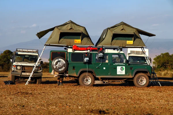 Perfect Safari Setup — Stock Photo, Image