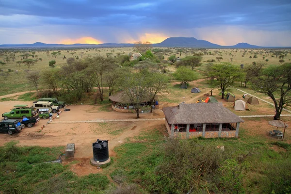 Safari camp i serengeti — Stockfoto