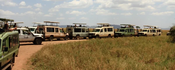 Safari Traffic Viewing Spot — Stock Photo, Image