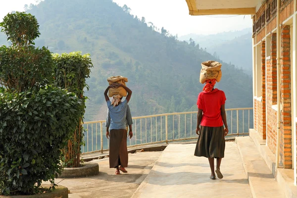 Afrikalı kadınlar çimento karışımı kafalarına taşırlar.