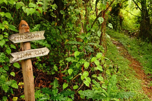 Funny Garden Pathway Sign Pointing Down a Path Stock Photo