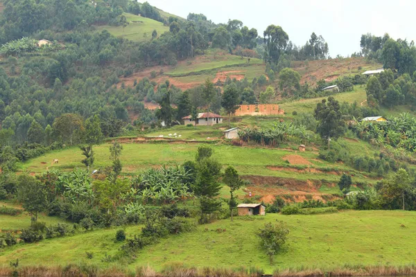 kırsal uganda