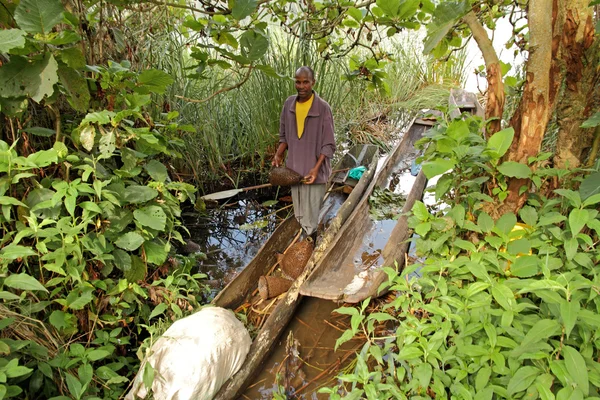 Yerel ungandan kerevit balıkçı