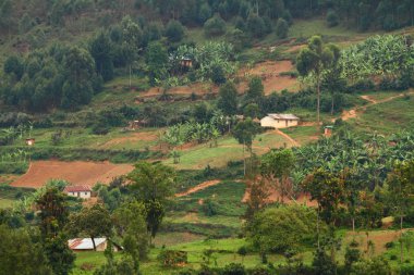 kırsal uganda topluluk