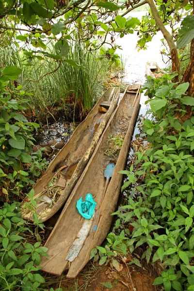 Dugout Canoes on a Ugandan Shoreline — Stock Photo, Image