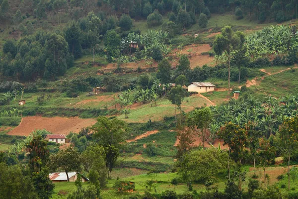 Společenství na venkově uganda — Stock fotografie