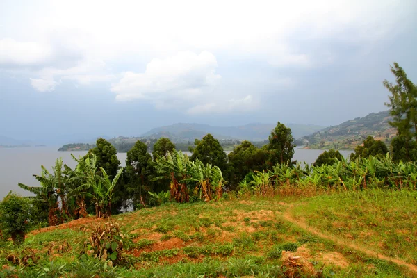 Lago Bunyoni Island Meadow — Foto de Stock