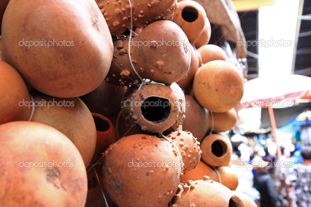 Hollow Gourds Hanging in a Market