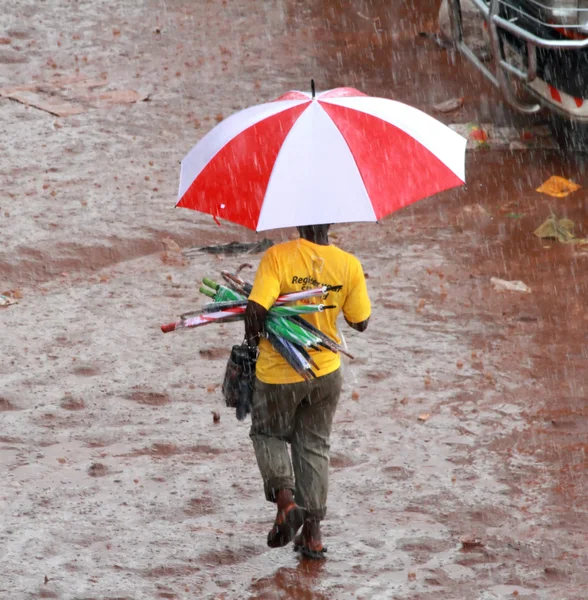 yağmur şemsiyesi satıcısı