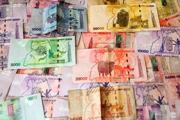 ウガンダのお金 — ストック写真