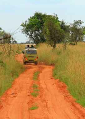 safari van Ugandalı savannah haddeleme