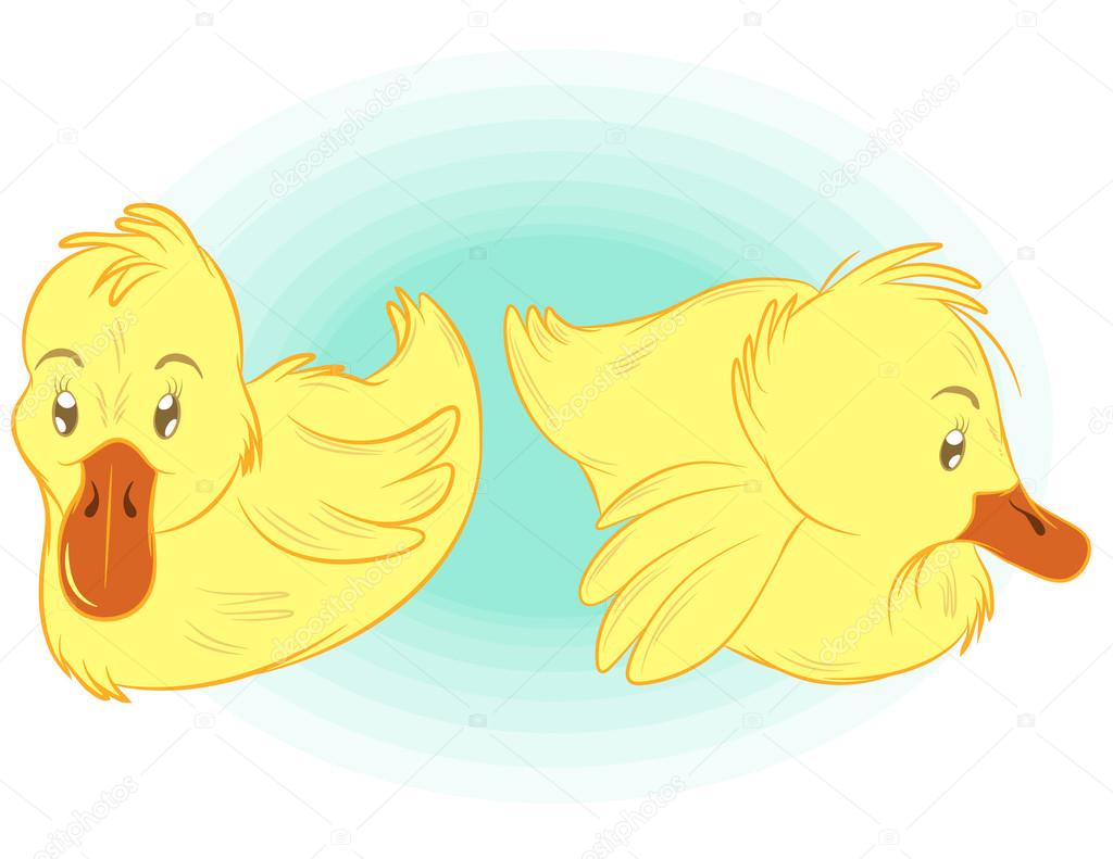 Illustraiton of duckling chicks on white
