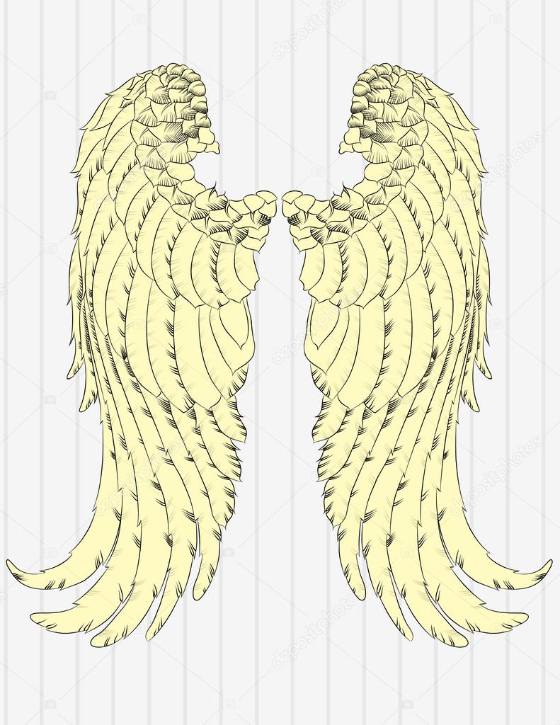 Illustration Vector Hand Drawn Angel Wings.