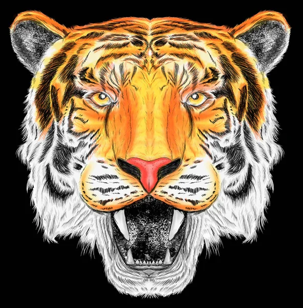 Illustration Tiger Face Lines Black Background — Stock Photo, Image