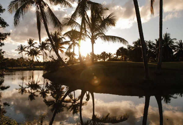 Ett Ungt Vackert Par Kär Promenad Golfklubb Tropisk Dominikanska Republiken — Stockfoto