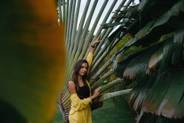 Beautiful Skinny Brunette Girl Yellow Suit Poses Vacation Tropical Palm — Stock Photo, Image