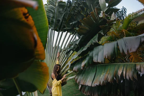 Beautiful Skinny Brunette Girl Yellow Suit Poses Vacation Tropical Palm — Stock Photo, Image