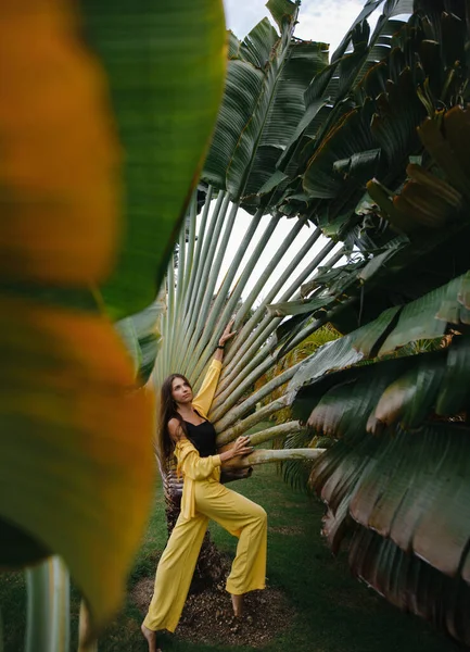 양복을 아름다운 소녀가 도미니카 공화국 야자나무 근처에서 휴가를 보내고 스톡 이미지