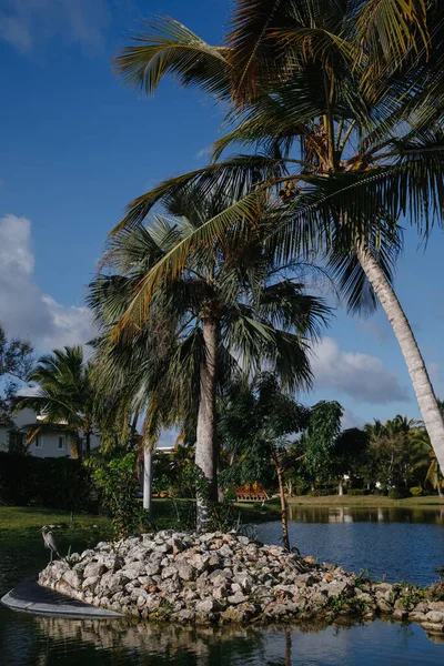 Unglaubliche Landschaften Eines Elite Golfclubs Auf Einer Tropischen Insel Der Stockbild