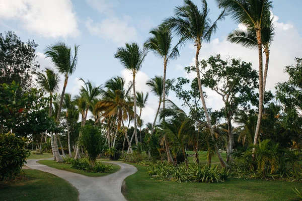 Incredible Landscapes Elite Golf Club Tropical Island Dominican Republic Palm Stock Image