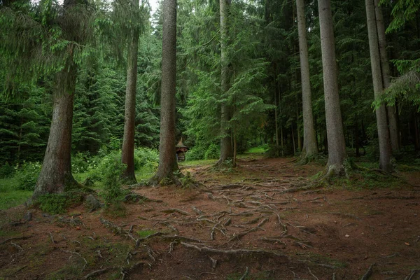 beautiful landscape with a small waterfall in a forest with stone terrain. High quality photo